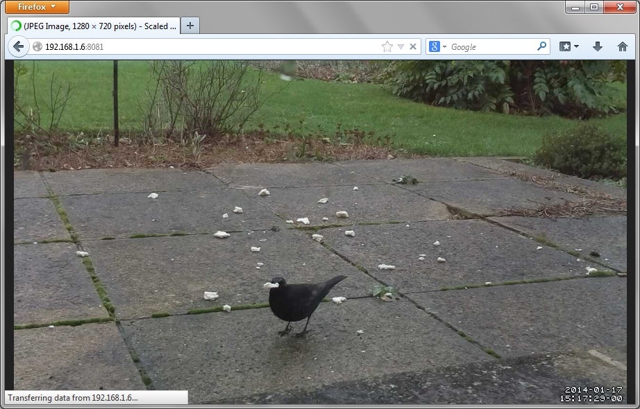 Video feed in Firefox