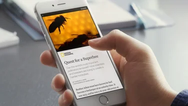 Facebook Instant Article