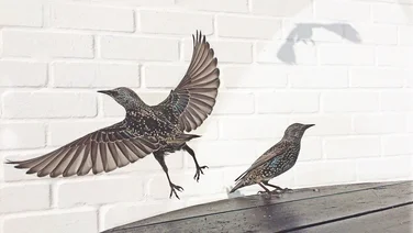 David Craik 2nd place iPhone Photography Awards 2015