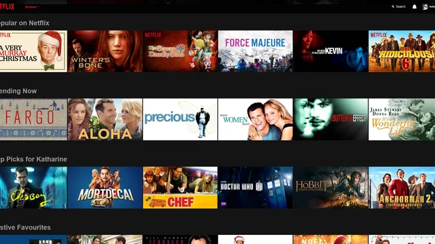 Netflix interface