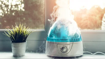 Dehumidifier vs humidifier: Pros and cons, differences explained ...