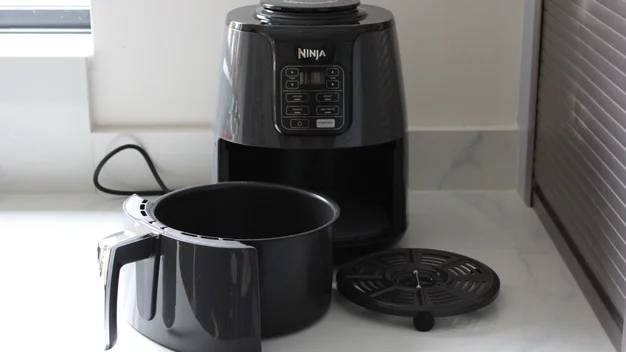 Ninja air fryer 4 qt reviews hot sale