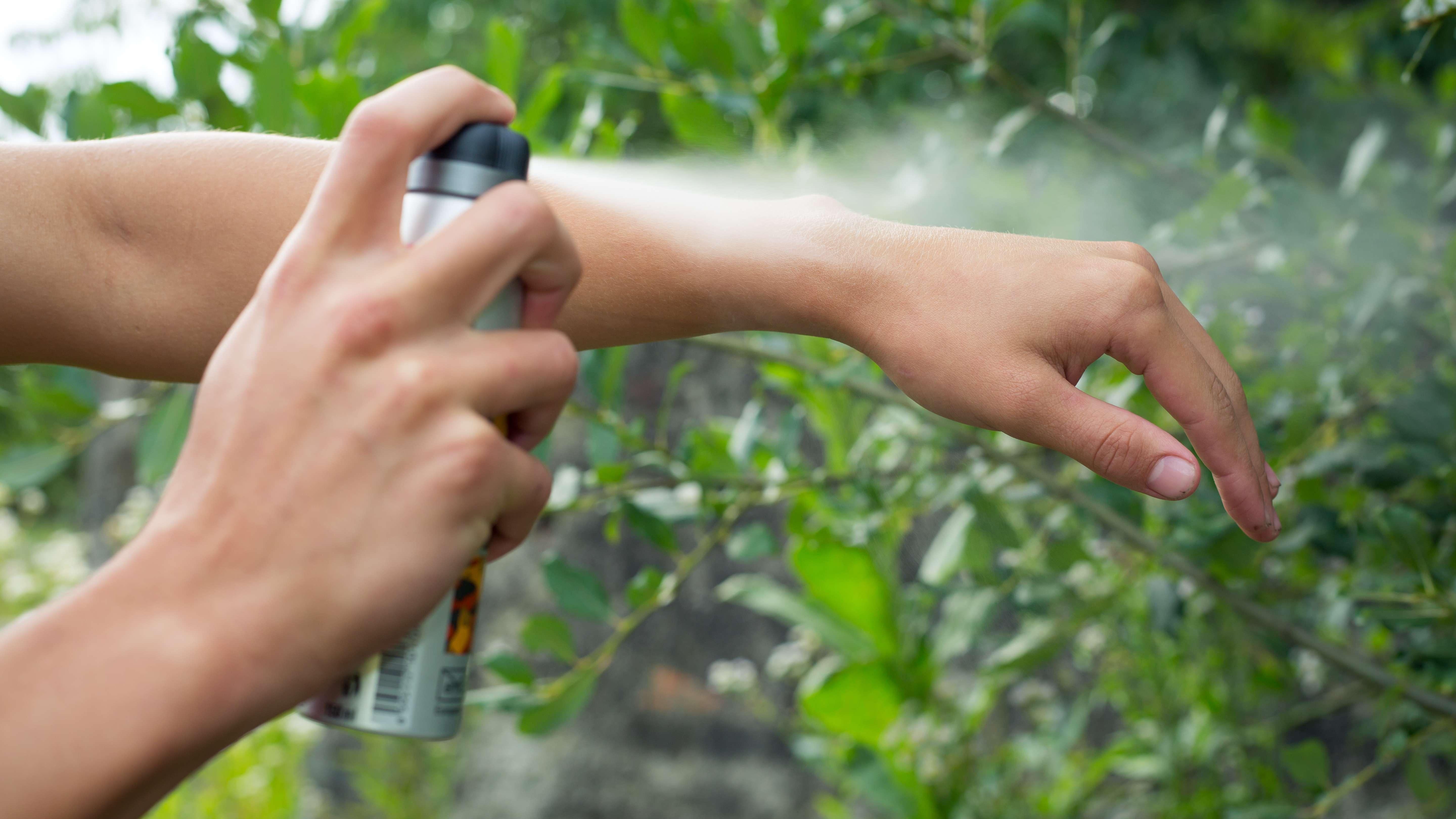 Best mosquito repellent 2024 Natural, DEET and plugin insect