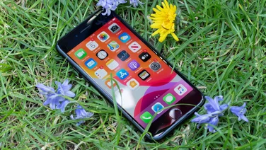Apple iPhone SE (2020) with grass and flowers