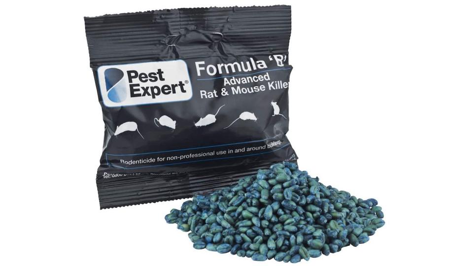 Best rat poison 2024 The most effective methods for dealing with