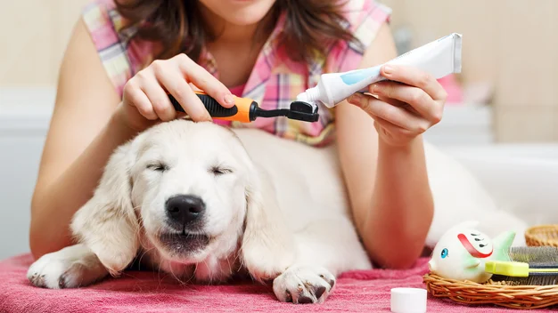 Best natural dog 2024 toothpaste