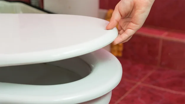 The best toilet seats to buy in 2023 Expert Reviews
