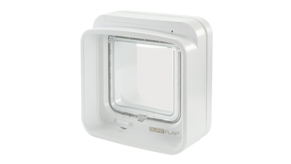 Best cat flaps 2024 Give your cat easy access to the outside world