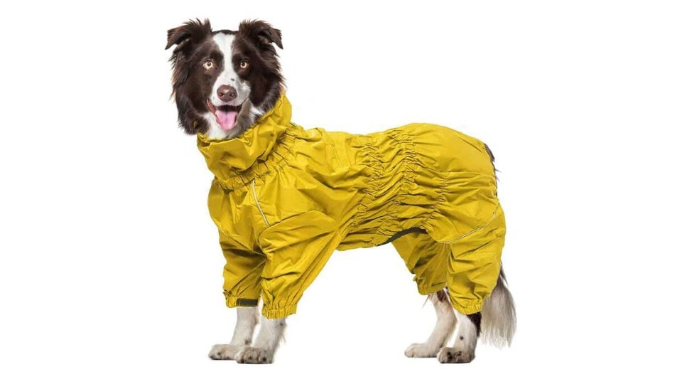 The best waterproof dog coats with legs to buy in the UK in 2022