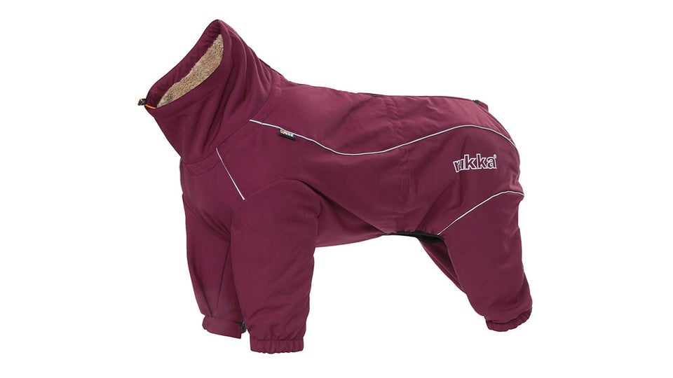 The best waterproof dog coats with legs to buy in the UK in 2022
