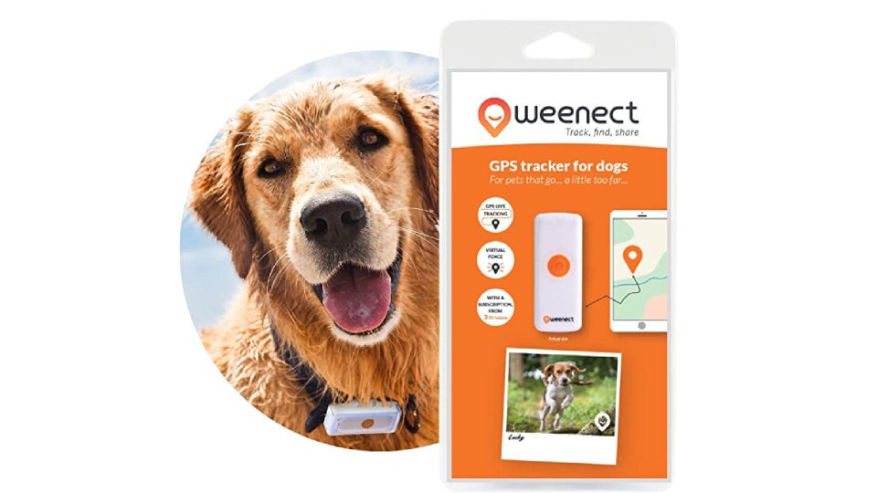 Best dog tracker 2023 Keep track of your pooch from £40 Expert Reviews