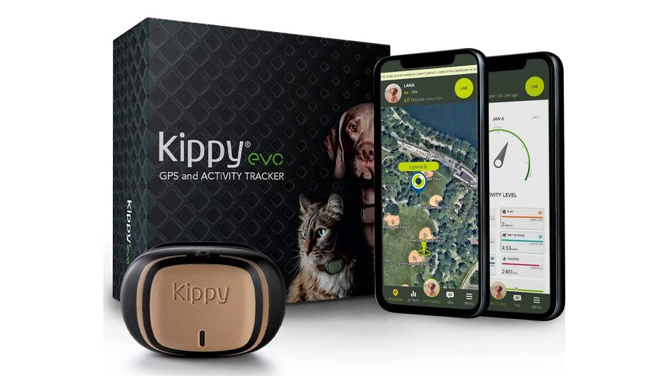 Best dog tracker 2023 Keep track of your pooch from £40 Expert Reviews