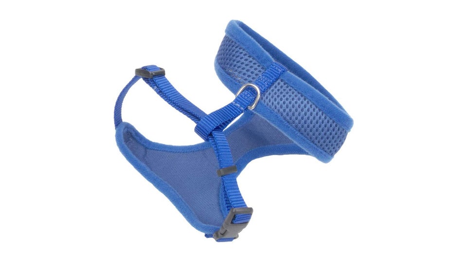 Best cat harness 2023 Keep kitty safe on outdoor adventures Expert