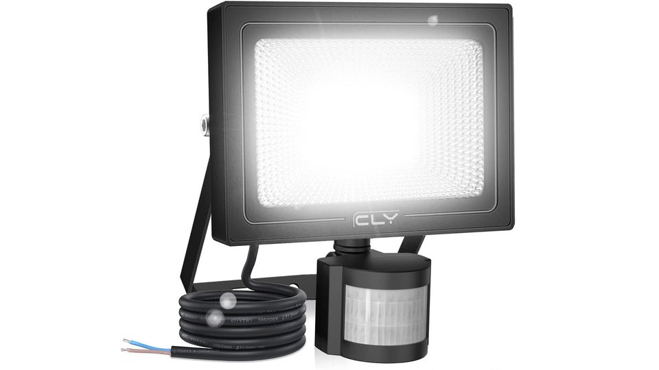 CLY 25W Security Light