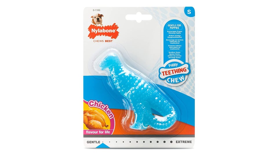 The best teething toys for puppies in 2023: Give your pooch something