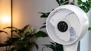 A Meaco circular fan surrounded by plants