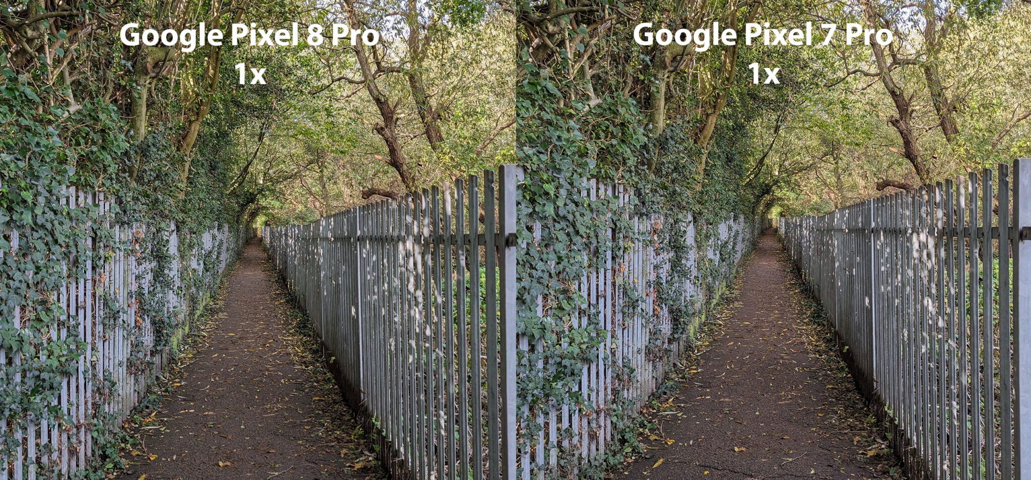 Google Pixel 8 Pro review: Still the definitive Android flagship ...