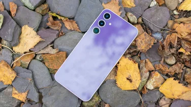 Rear of purple Samsung Galaxy S3 FE, placed on slate and brown leaves