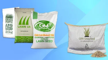 Bags of grass seed