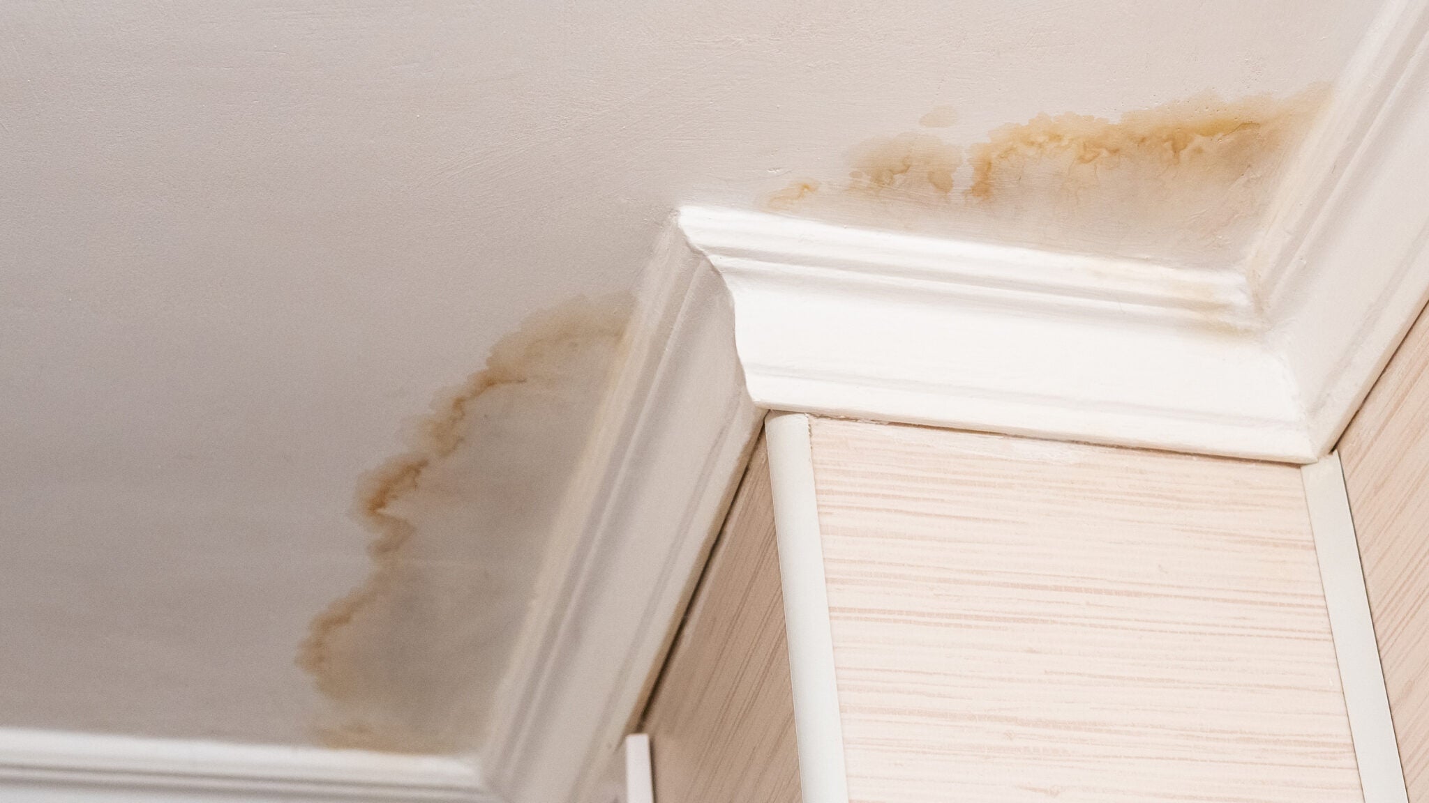 What causes mould on walls? Expert Reviews