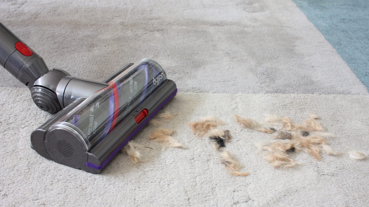 Best Vacuum Cleaner 2024 The Finest Corded, Cordless, Bagged, and