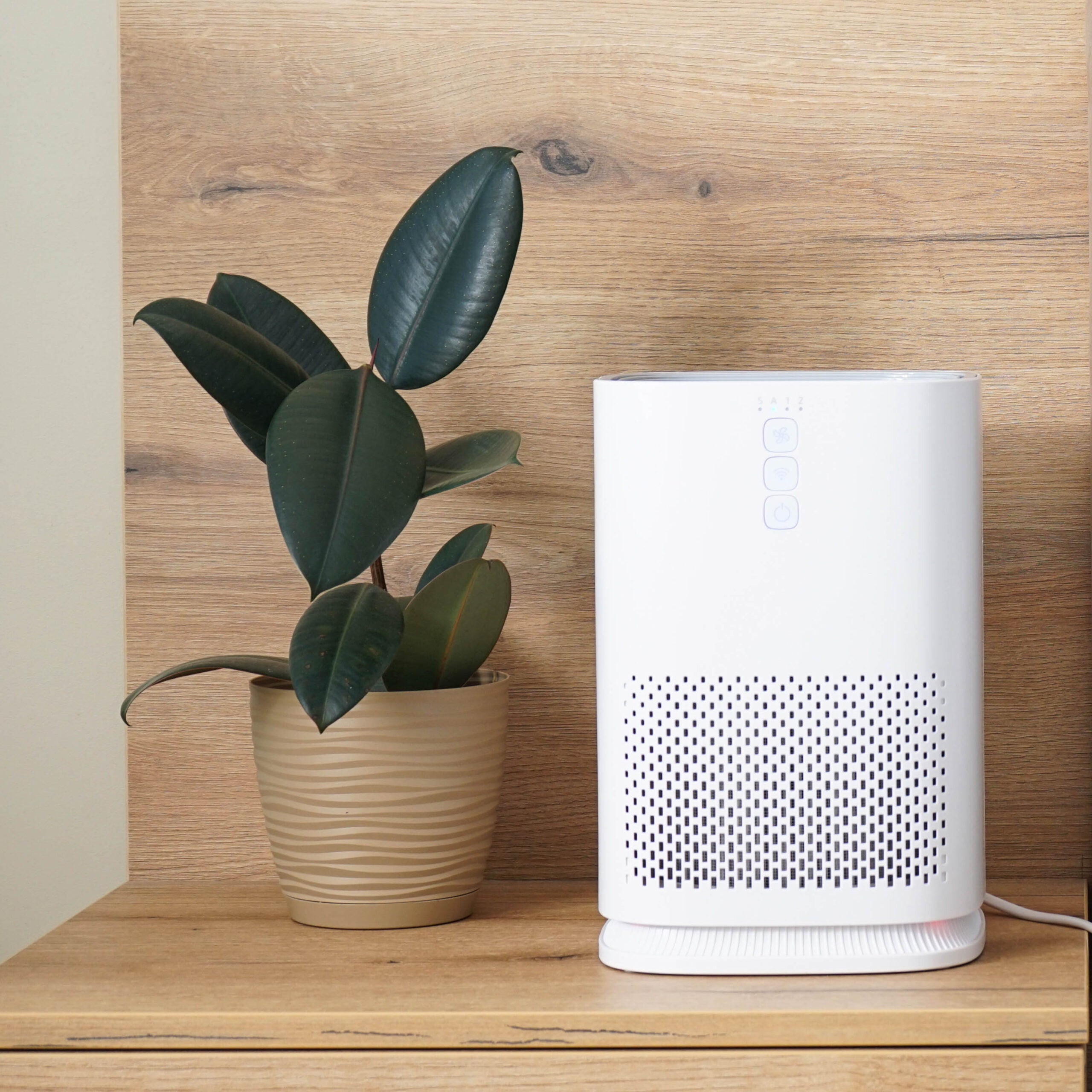 Does an Air Purifier Remove Dust? Expert Reviews