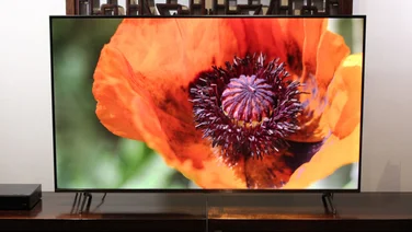 Image of the Hisense E7N Pro from a front on view, with the television displaying an extreme close up of a flower