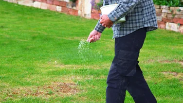 How to sow grass seed header man sowing grass seed