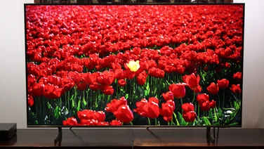 samsung_q60d_review_featured_image showing a screen of bright red flowers