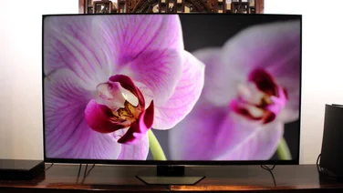 hisense_u8n_review_teaser_image screen with a orchid on it