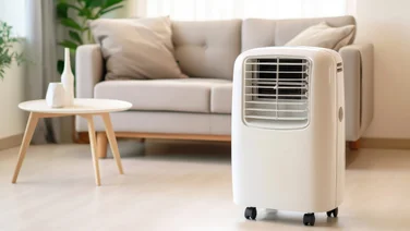 An image of an air cooler in a living room