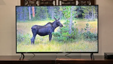 panasonic_w90a_review_featured_image on a wooden stand with a nature picture on the screen