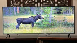 panasonic_w90a_review_teaser_image on a wooden tv stand with a nature picture on the screen