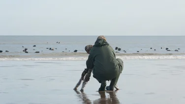 Nikon School - taking photos of grey seals in the sea