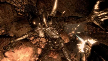 Aliens vs. Predator