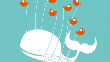 Twitter says no more third-party clients to developers