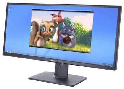 Dell U2913WM