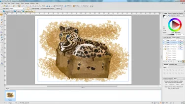 Leopard in a box