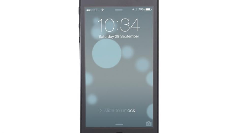 Apple iPhone 5S screen