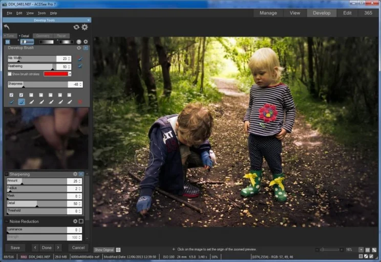 ACDSee Pro 7 - Detail Brush