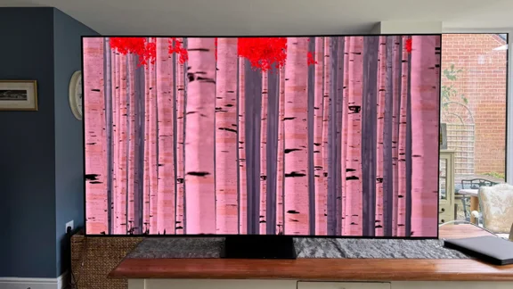 Front view of the Samsung S95F QD OLED