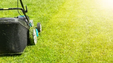 Six mistakes you're making when cutting your lawn, lawn mowing cutting grass