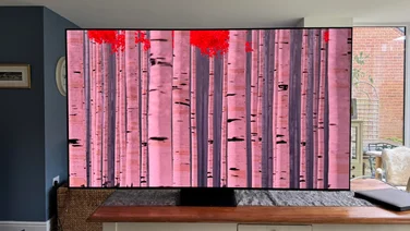 Front view of the Samsung S95F QD-OLED TV