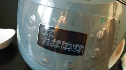 Panda Mini rice cooker review: Small but perfectly formed | Expert Reviews