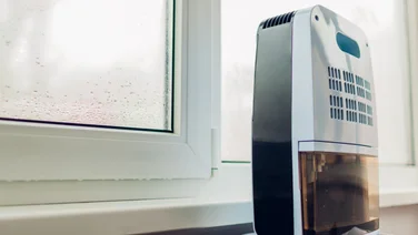 How much does a dehumidifier cost to run, dehumidifier in front of a damp window