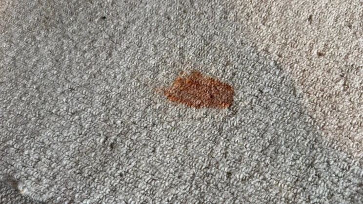 Ketchup stain