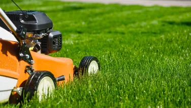 Lawn mover close up cutting fresh grass
