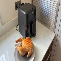 A cooked chicken on a plate, alongside the Instant Pot Vortex Compact 5L air fryer