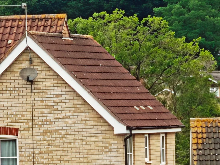 30x zoom of a house roof with trees behind it, enhanced by AI