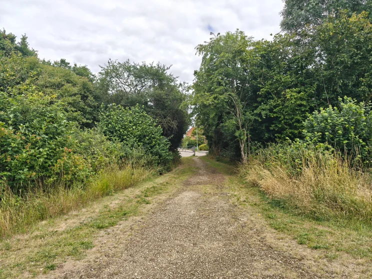 A dirt path leading between two copses of trees